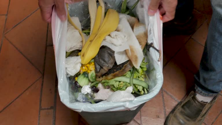 Reliable Glassport, PA Junk Removal Services Solutions